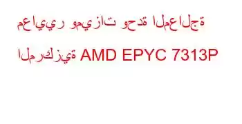 معايير وميزات وحدة المعالجة المركزية AMD EPYC 7313P